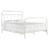 Caledonia Metal Bed - Inspire Q® -Inspire Q GUEST b3174b28 0a3b 4b9a 92c0 94bf70a48418